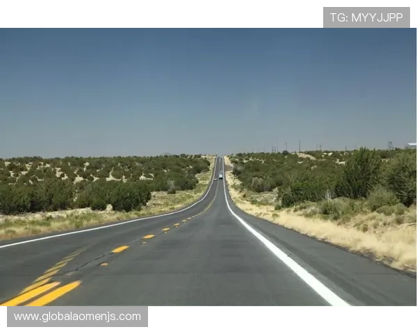 未来几年金沙拉斯维加斯市值可能面临的挑战与机遇全面解析