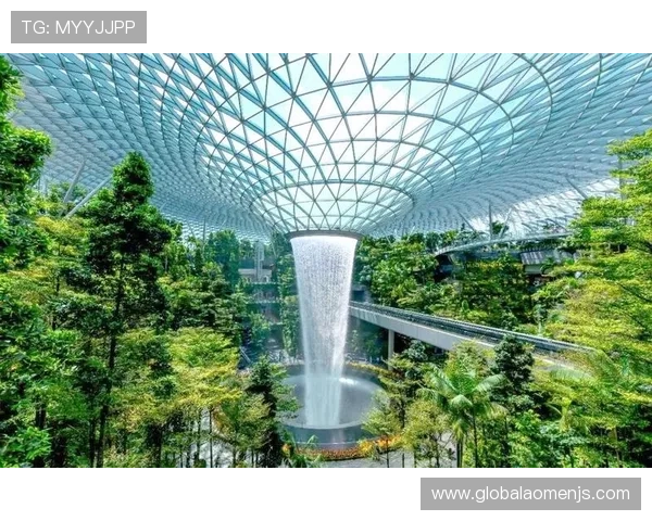 新加坡金沙娱乐的高端设施与奢华环境体验指南让你尽享尊贵体验