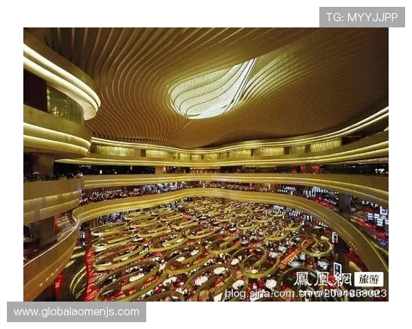 详细介绍金沙电子赌城多版本登录入口及常见登录故障排查与解决方案