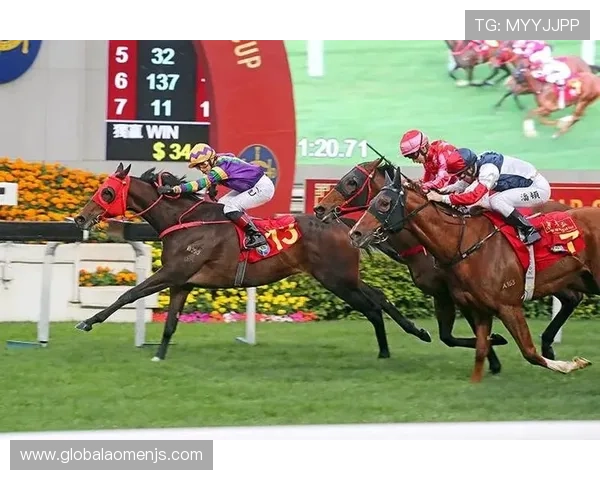 hkjc 投注 户口 app:解决常见登录问题,确保你顺利使用香港赛马会投注平台