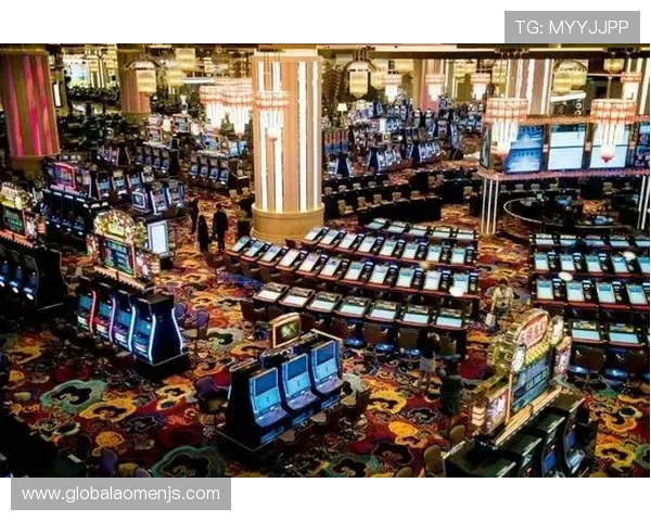 澳门娱乐场所法人代表的行业责任与未来发展趋势全面分析