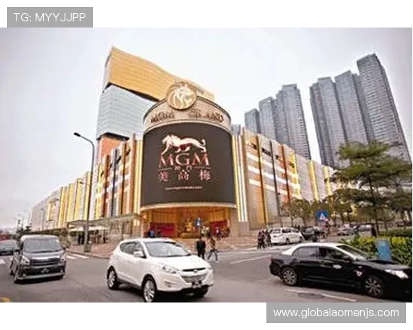 澳门美高梅的网址官方入口指南，详细解析访问步骤与常见问题解决方案